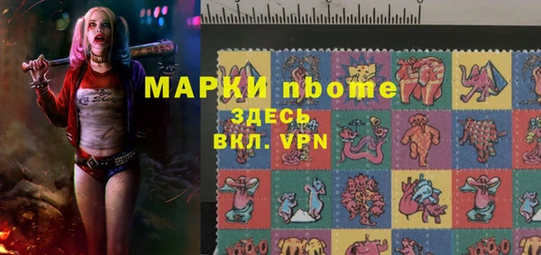 шишки Верхний Тагил